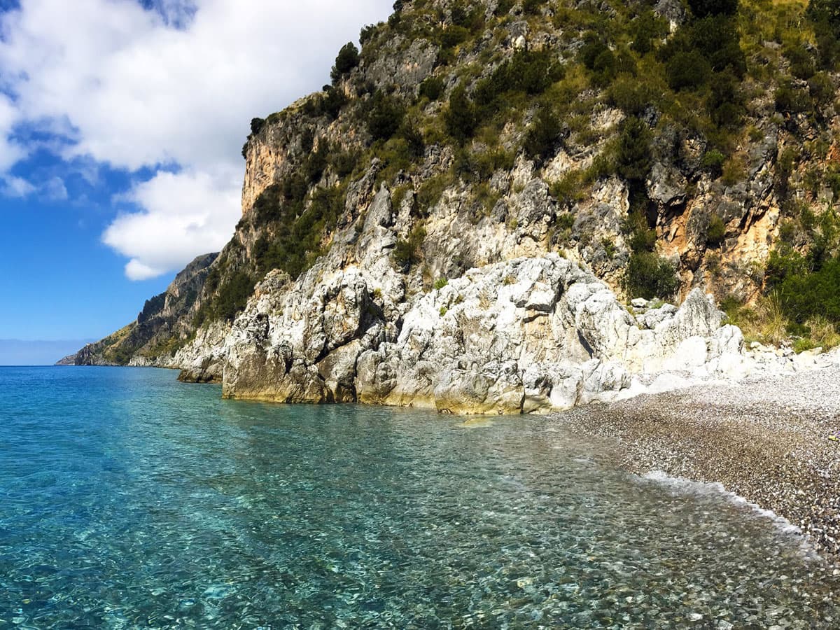 Scario